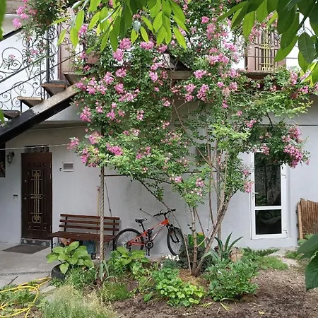 Apartment каюта у в доме у моря